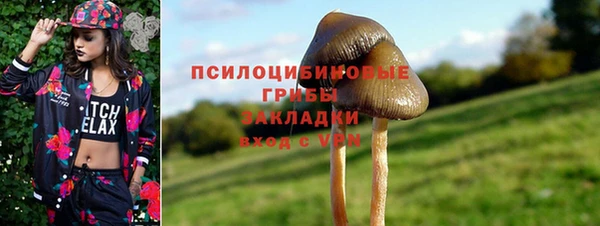 2c-b Арсеньев